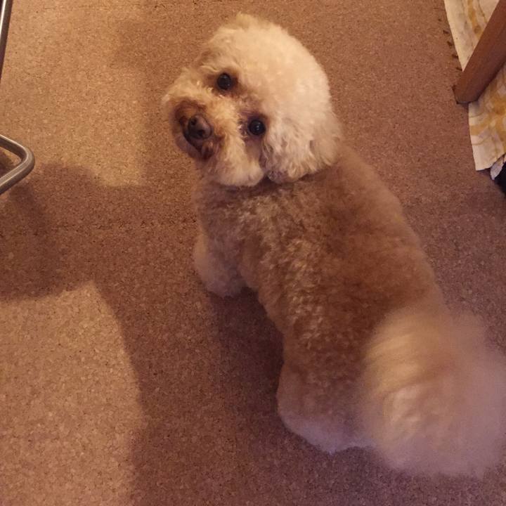 670d96cf 055a 41be 874e 4e53768c8e0a