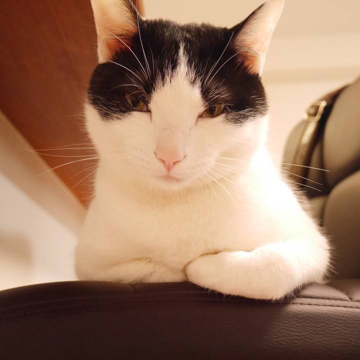 670ddc09 d8e7 49d4 9955 a7ca41defc01