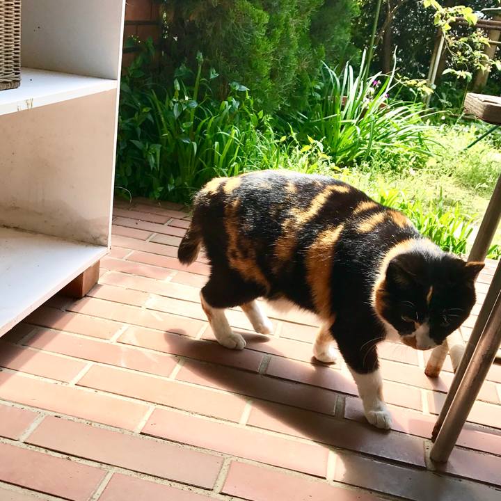 670df172 6033 4d4e 98a7 be1aa8e5fa27