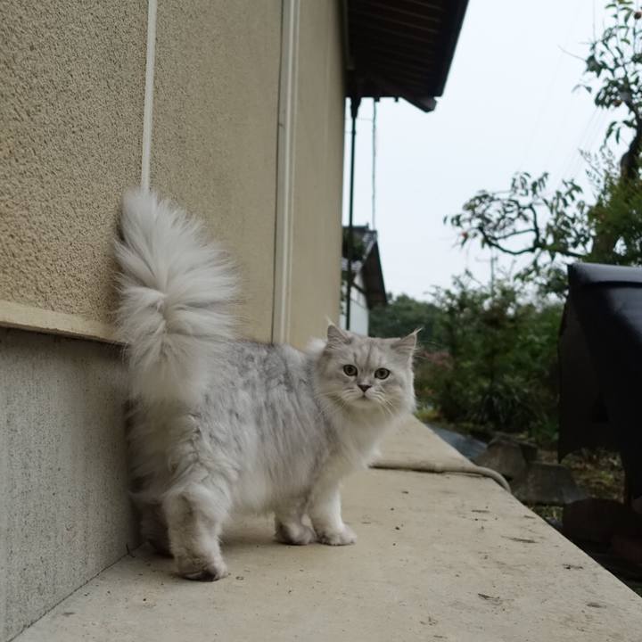 670e0de5 0844 443d b679 04c8c3e11876