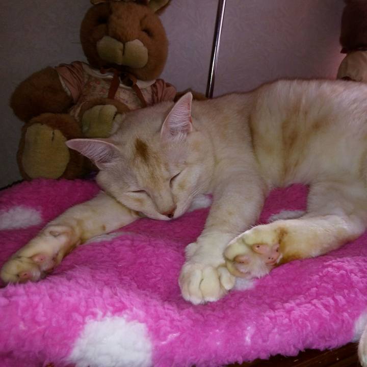 670e7d89 a8f4 42f5 87d0 48b7eb62132e