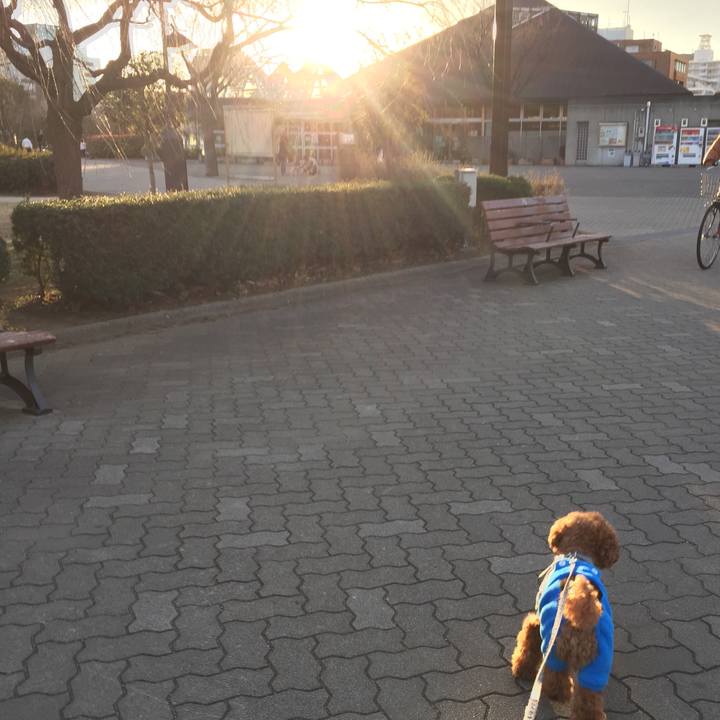 670f9f55 e56d 470d abb7 ce7361f60836