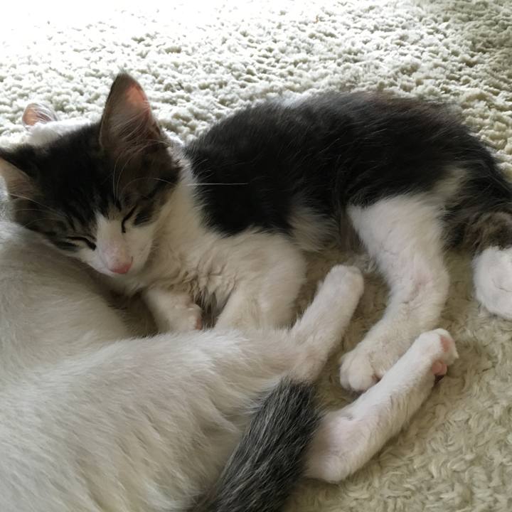 671064ec 138d 4255 8f0c 6de2eab3f83a