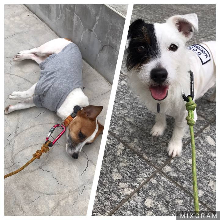 6710ddb3 fb2a 41c3 907b 3ffa6846cb75