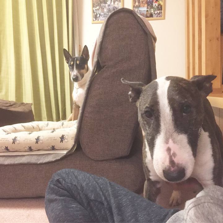 671120ef bdfa 4dcb 915f a85efed1990b