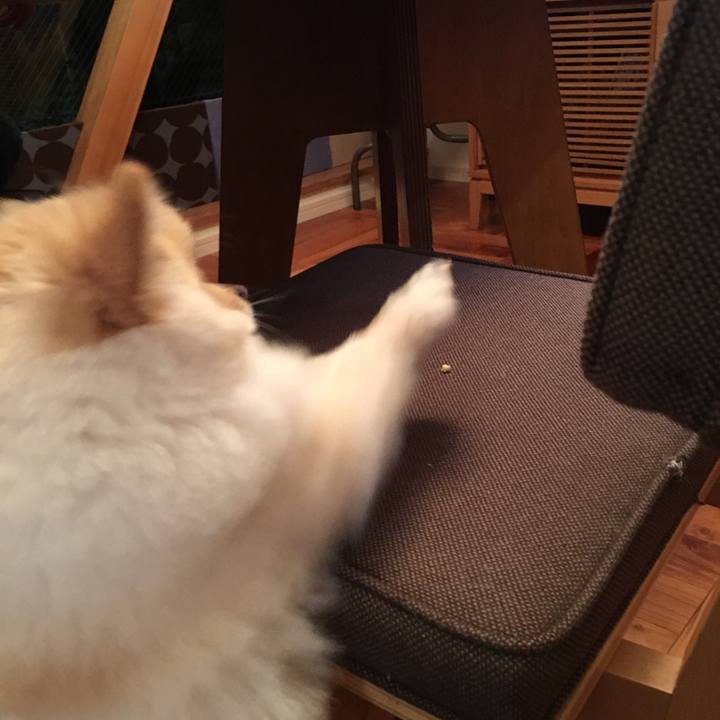 67123772 3b0b 4d6c a699 9fcedc4ac97d