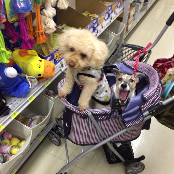 6712795b 55c4 4176 aac1 bebe9a5ea804