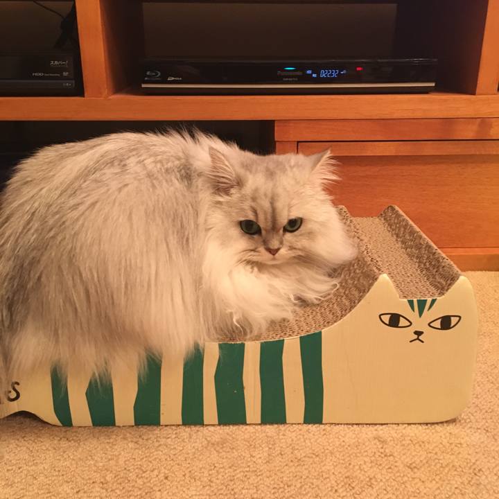 671319a9 070d 4ced b2e4 68d34a83e5cd