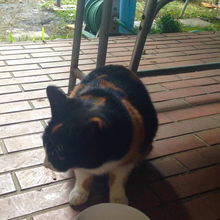 67133022 9255 444b 9462 c5b78cafe495