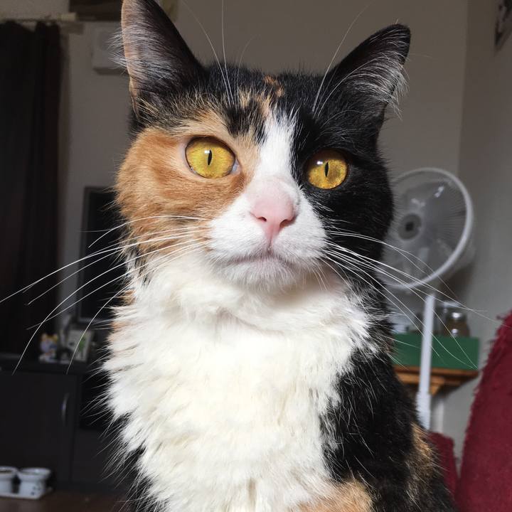 6714dbf3 d0e4 42f0 854f a9782de54e7d