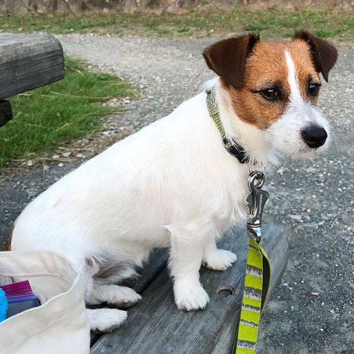 67150617 a499 4ce9 bb4c b79a475e120a