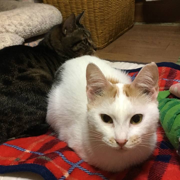 67155615 dff6 43b8 9e6a e2fbd1b53d2e