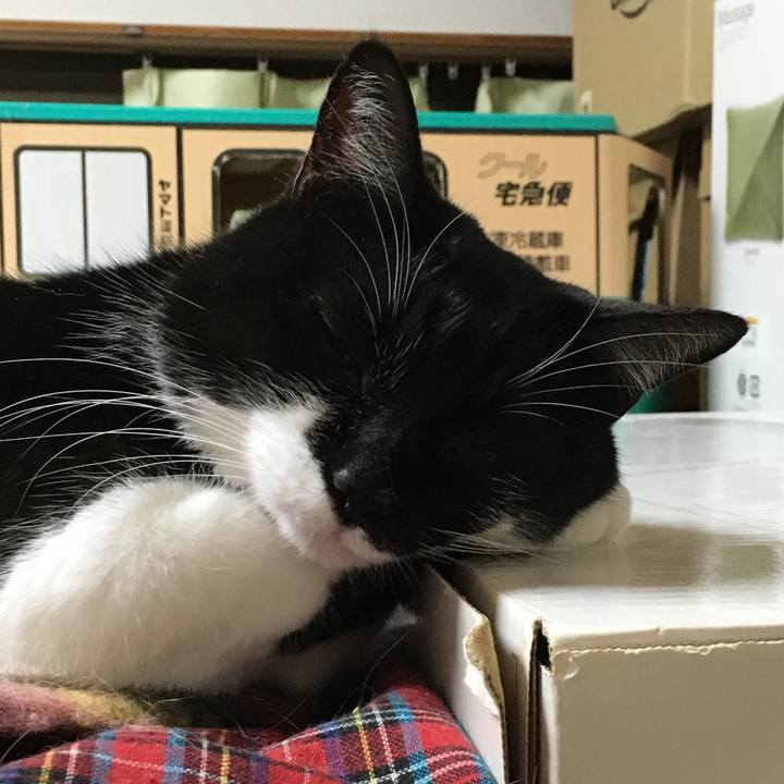 67156fe2 4ce3 4799 aaaf cd377eb83039