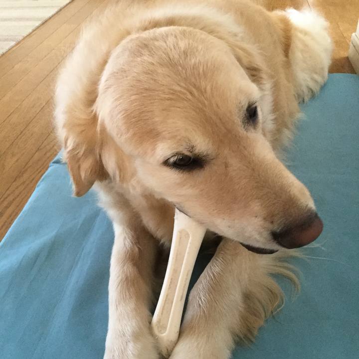 67159abd e94e 4a68 bb3b 9a0d028e69f1