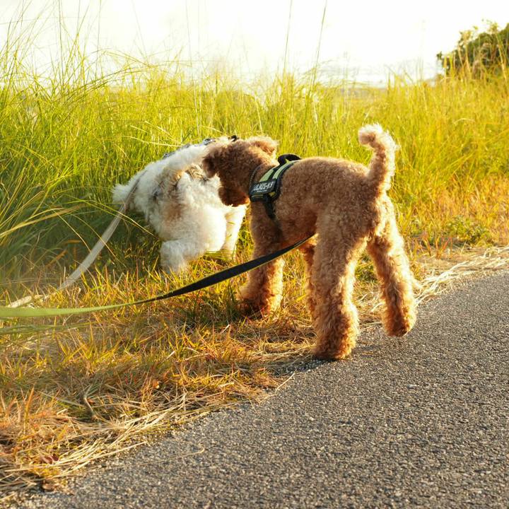 6716f845 df77 4139 a4ea e34607107880