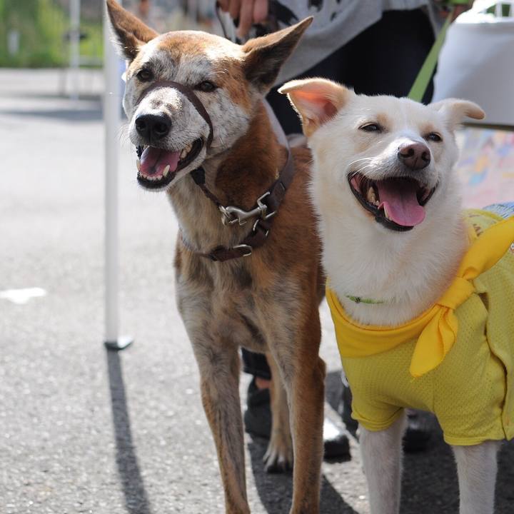 67171440 25dd 44ef a1c4 80f46b31e70b