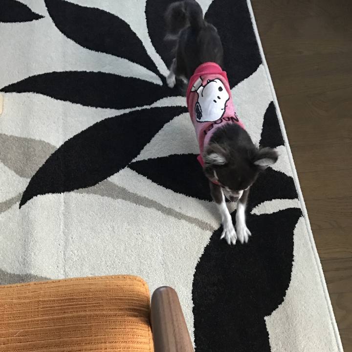 67176a0d 657b 4431 b16b 2d0e26e795a9