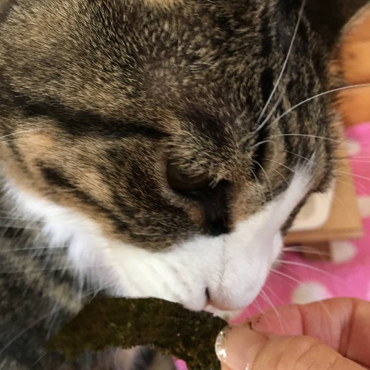 6717798e f3a9 4685 a4d3 f5547b543692