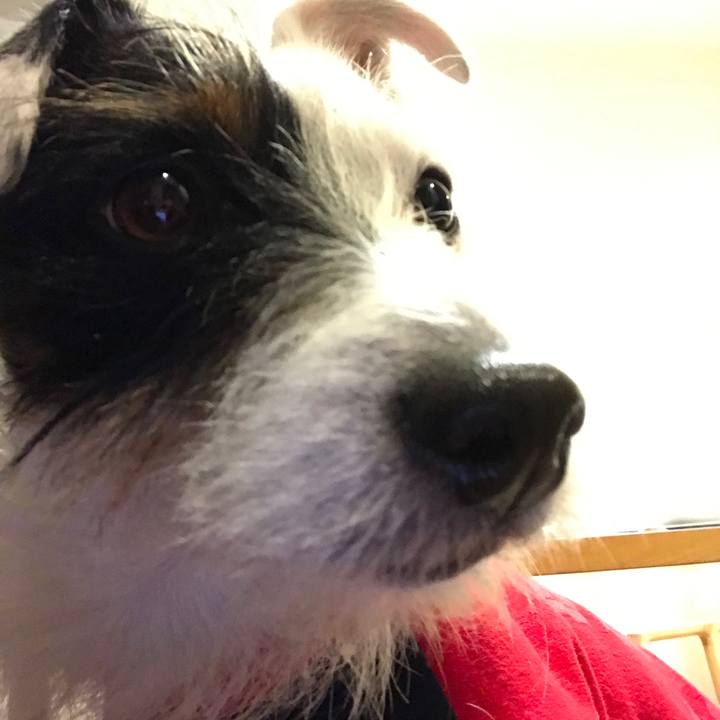 6718942a a56c 4ebd b7c5 0257fd2040ee