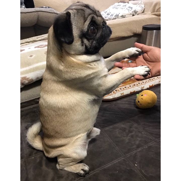 67191931 ae1f 4f3b b80c 041253dd7977