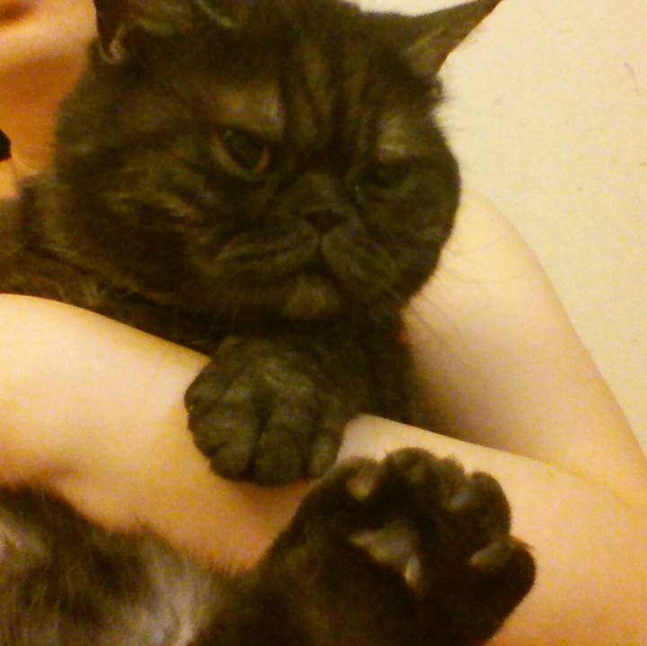 67196699 9a5b 4133 9257 def3d7627231