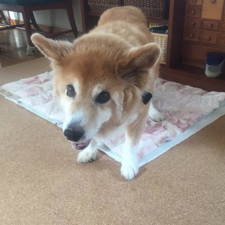 6719aa65 b28c 44a6 b037 45aa43d845d8