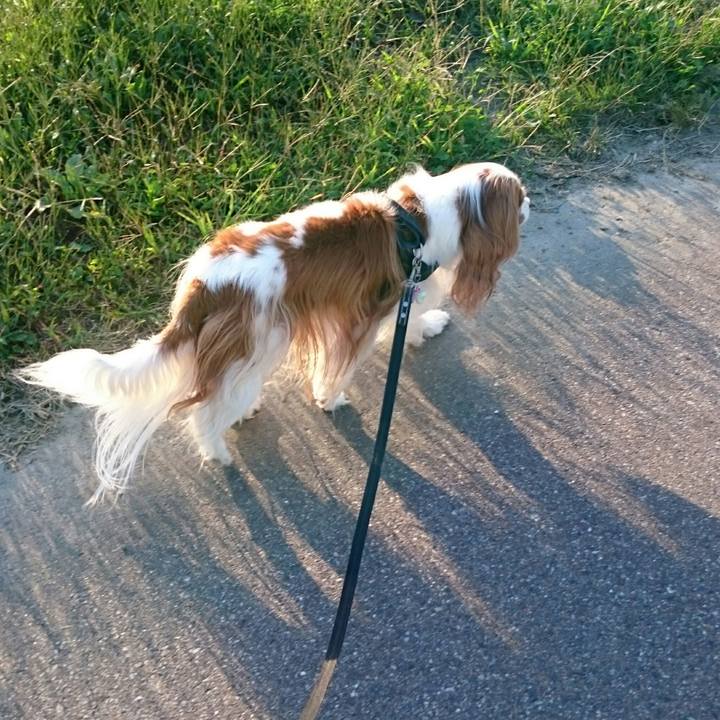 6719fdb3 96a0 4cec b7bd 29d152e461f6