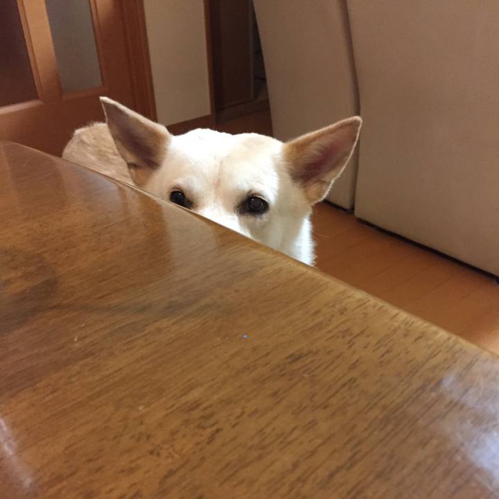 671b37df 5b74 482e 9a7e 817c1f08982f