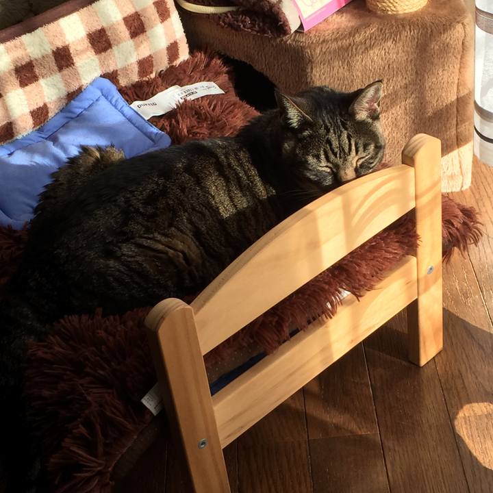 671b5546 ab8a 49f9 b3bb 5bba7726a503