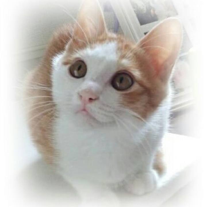 671bcad1 3d29 4a42 b2df bdac6a4f03d5