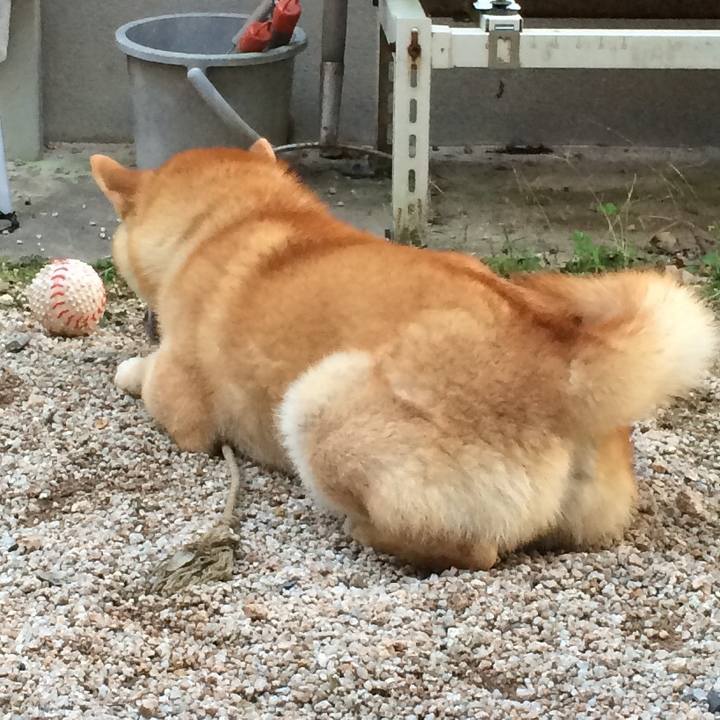 671bdf81 7271 467b 8995 7a8ebdbae59c