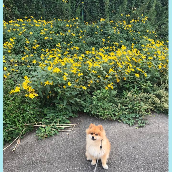 671c50a6 4e10 4820 b706 aa5286a76d74