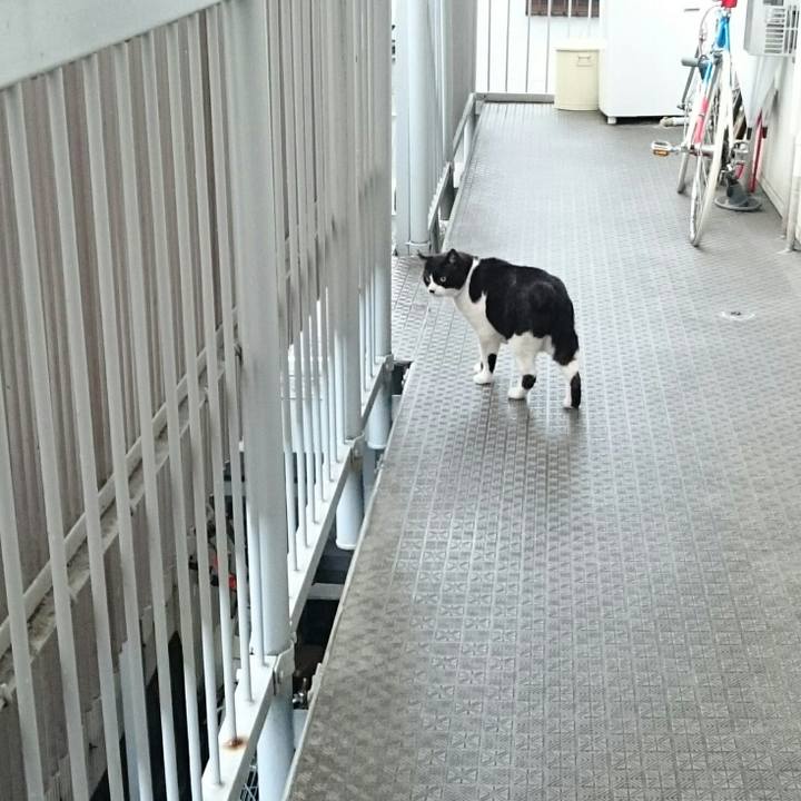 671c6d62 92f0 4743 83bd 76a3af9936bc