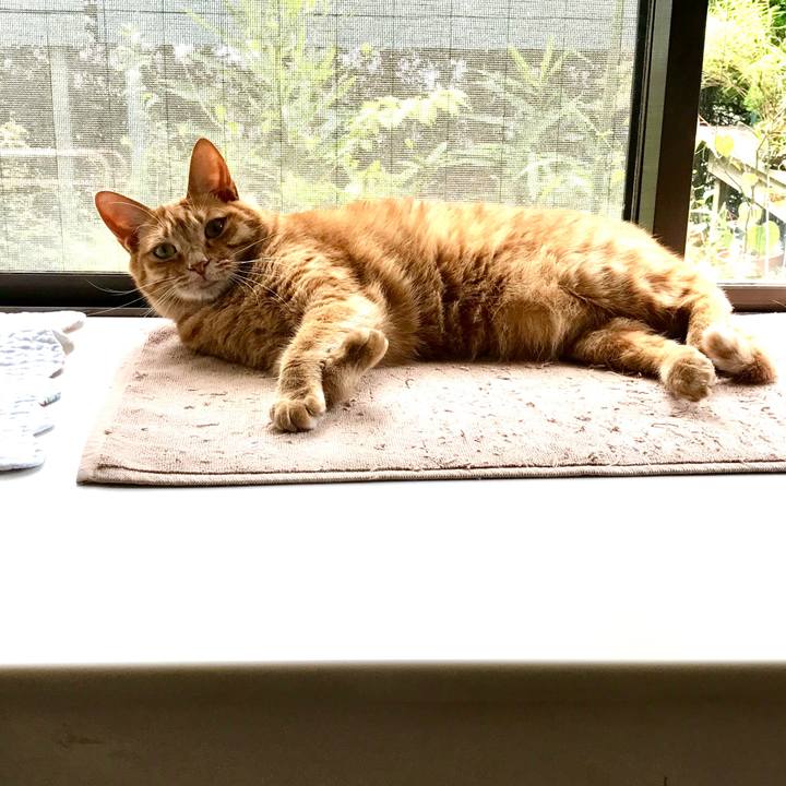 671d1a46 04a1 4962 a95f 93026c0b26bf