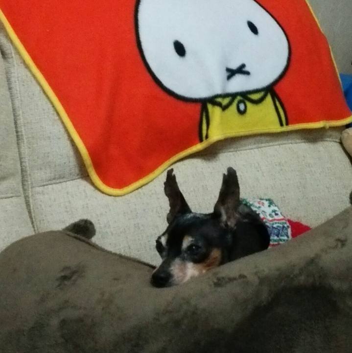 671d464e 8d7c 44f5 a035 d484588a222d