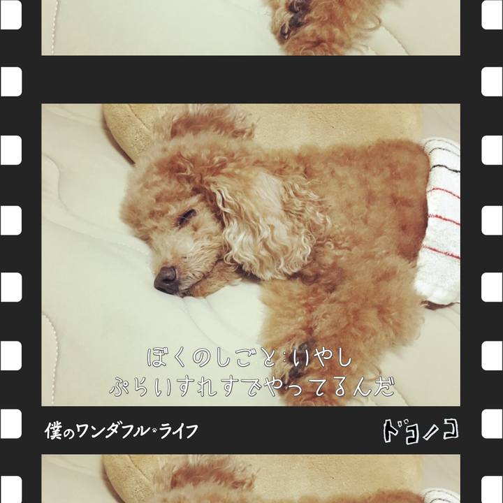 671da0b7 6921 4d30 9627 1b1fb4281db5