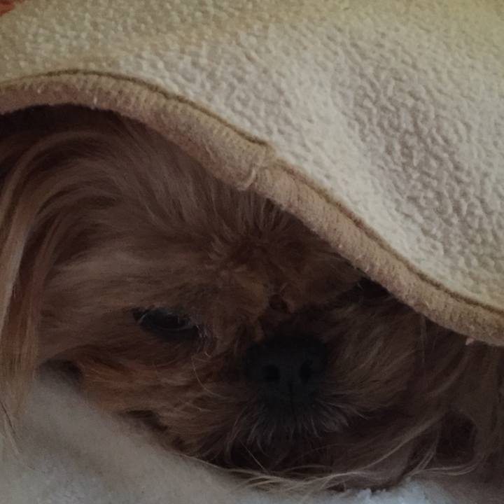 671dc589 4353 462b ba20 e2c2328887dd