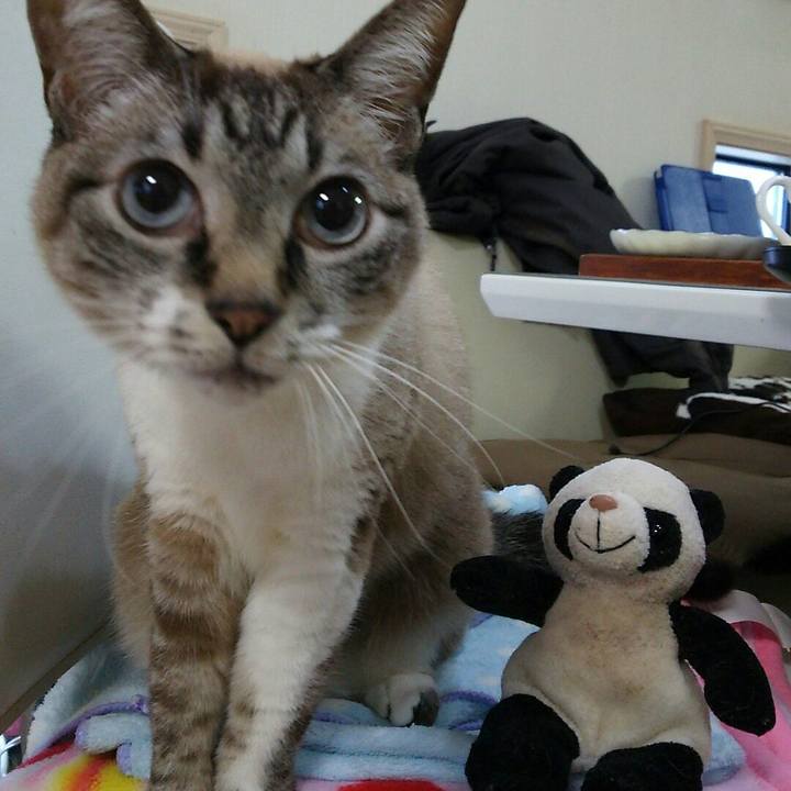 671dfd36 8dcb 4d17 89a6 04b2f27a5241