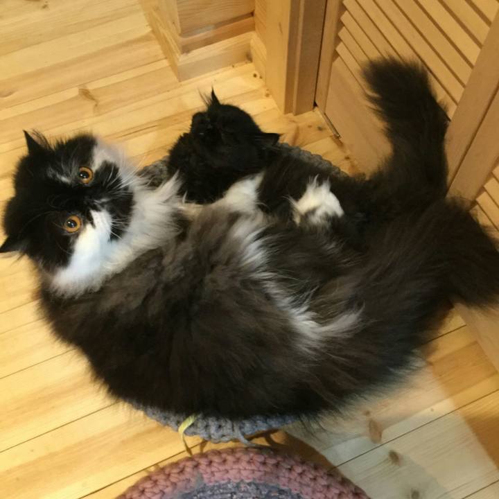 671e0787 021f 404b afdf 2e8a972a2188