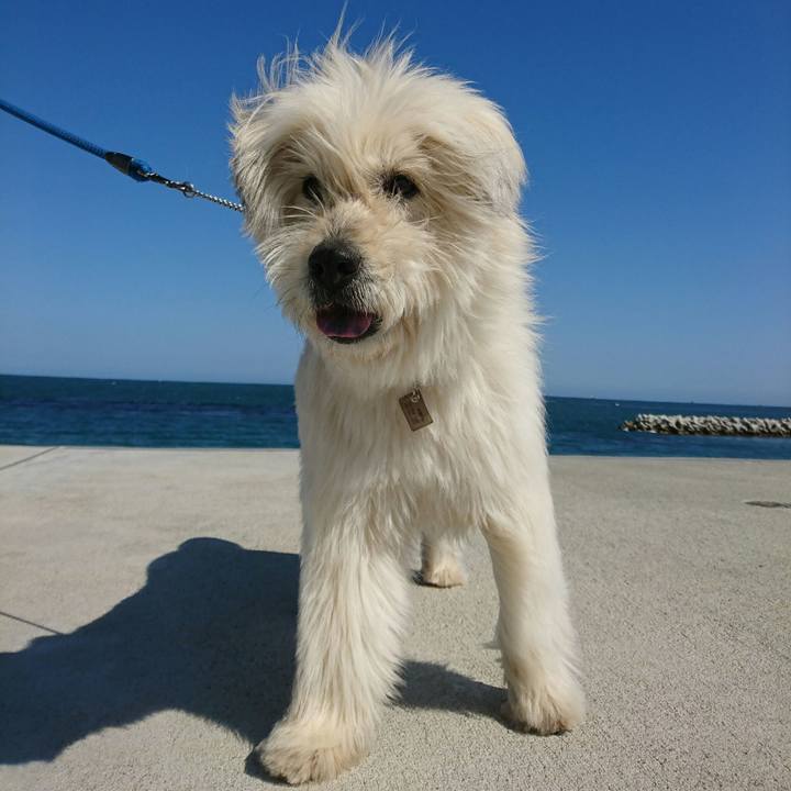 671e4e5b 3cee 4d30 ad31 8f9c0996171d