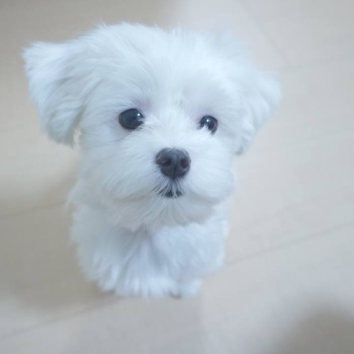 671f3cf5 57ff 4117 815c cbbab2ae6ae2