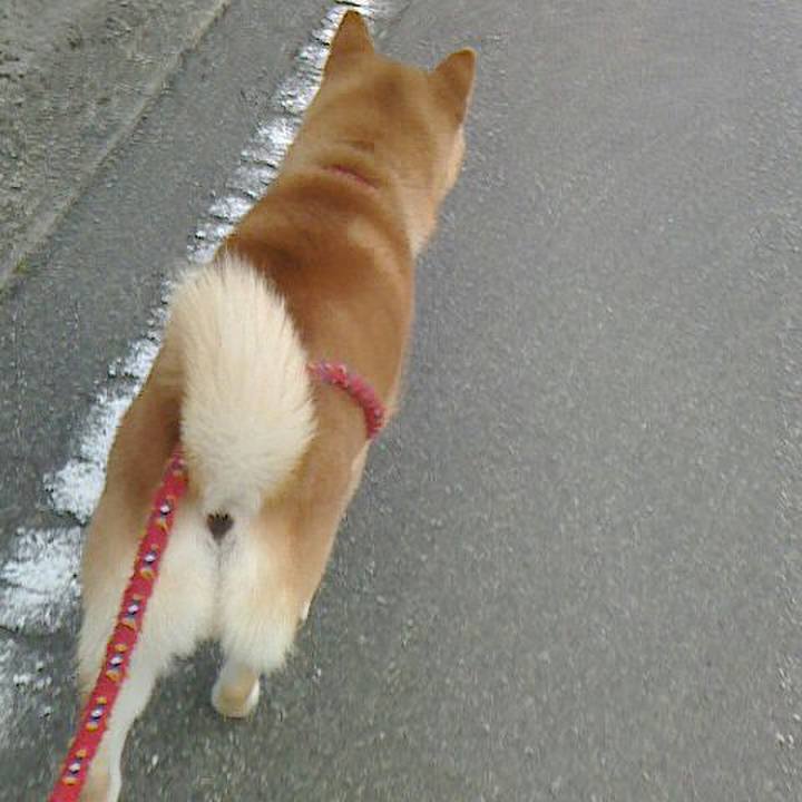 671f5ed1 626f 4ac3 aac0 7713edc45486