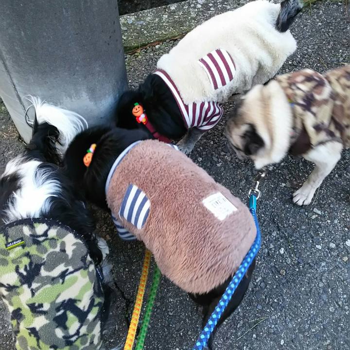 671f6466 0175 4613 ab5f e682ee368602