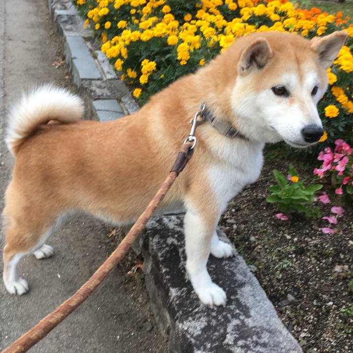 671fd483 98f4 4df5 9ebf 60a80f3cc91a