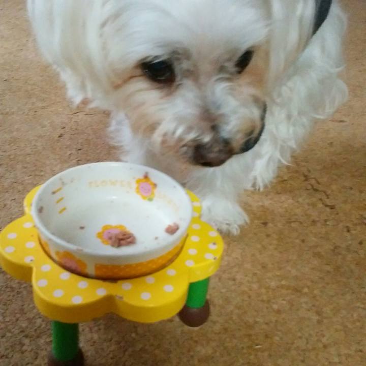 67202823 85e4 45d6 890d f1d451f51260