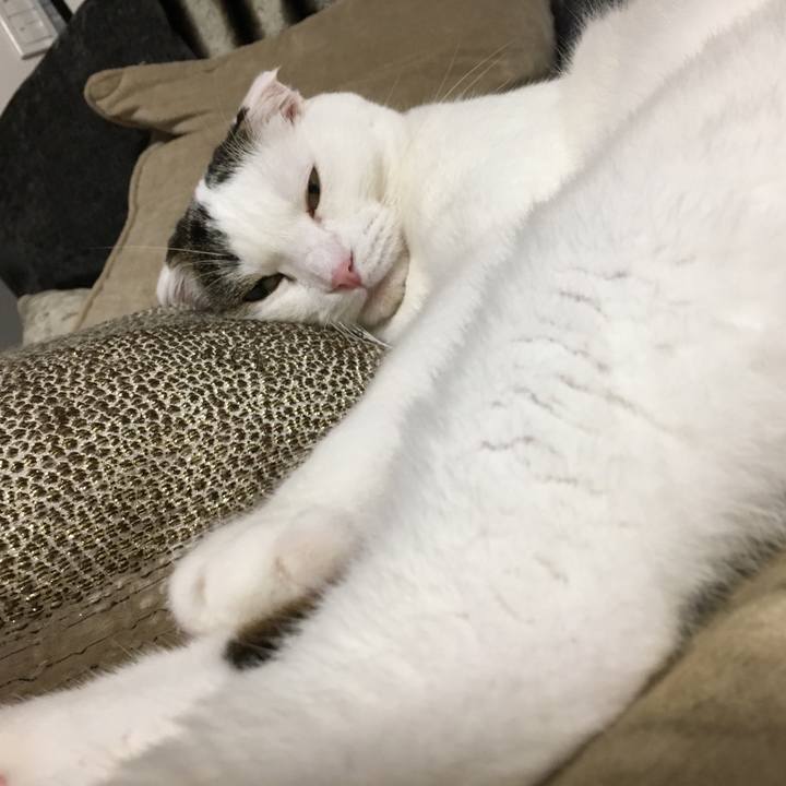 6720297a 6818 44fb a665 5ac47ba974b6