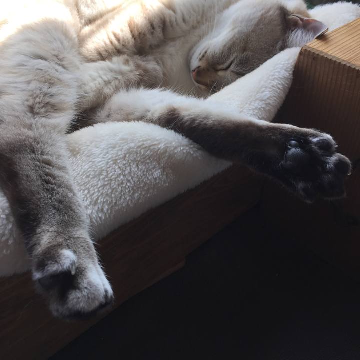 6720ebec f90f 42df 9e37 1be3a309f10d