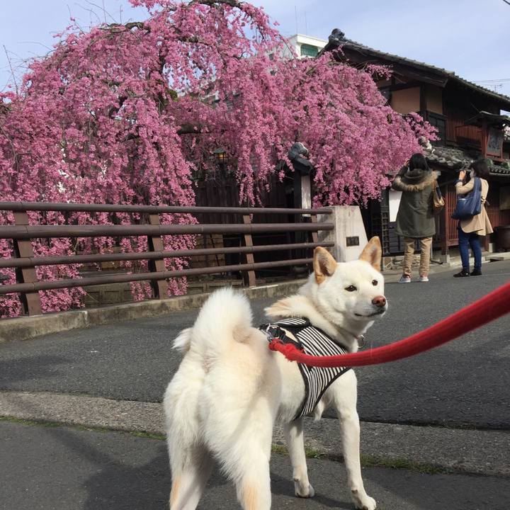 6720f04e c0cb 451c 9c33 66edd0d87c17