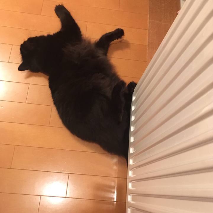 67210a1c a991 45fa 82af b18a51b3e668