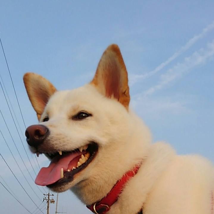 6721326e f6c9 4e8b 8e3a bf277e4cfc98